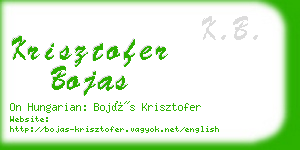 krisztofer bojas business card